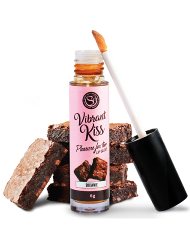 SECRETPLAY LIP GLOSS VIBRANT KISS - BROWNIE