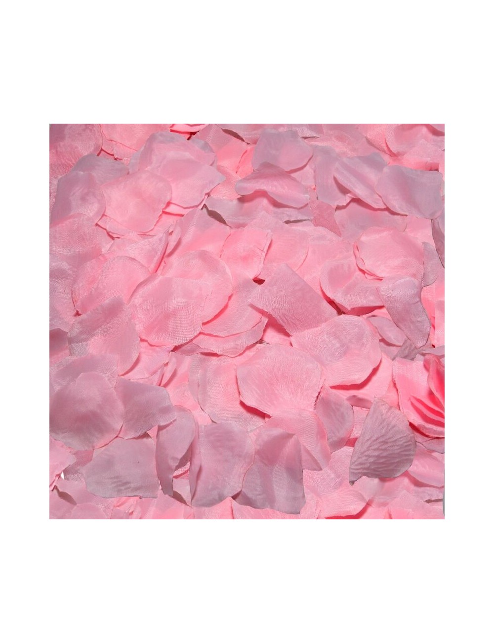 DIABLO PICANTE - 100 PÉTALOS ROSA