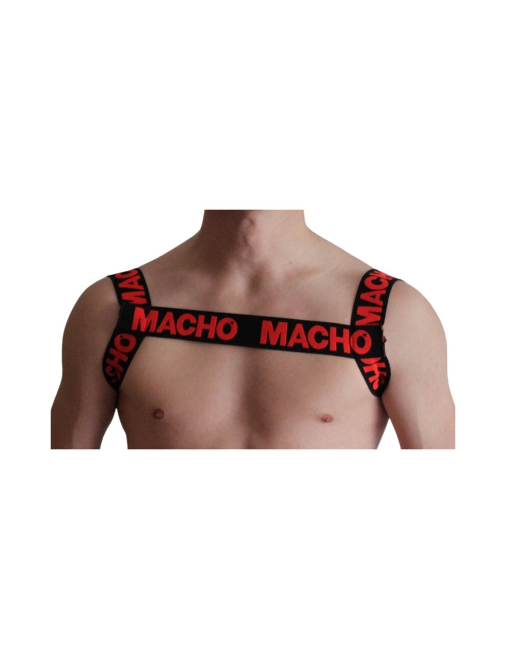 MACHO - ARNES DOBLE ROJO MACHO - ARNES DOBLE ROJO