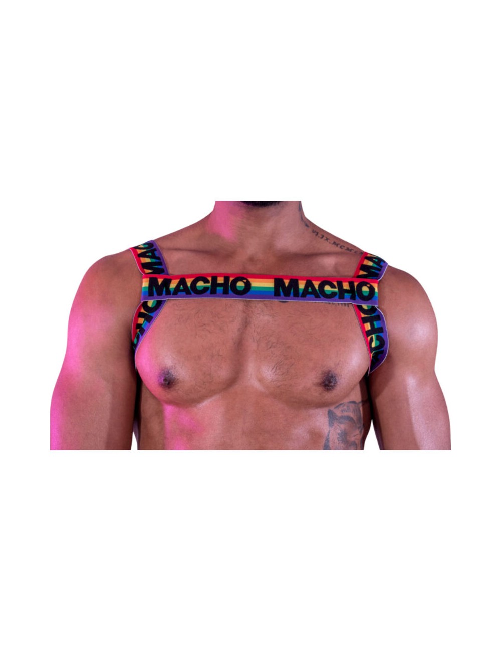 MACHO - ARNES DOBLE PRIDE LIMITED MACHO - ARNES DOBLE PRIDE LIMITED