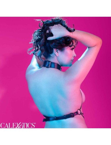 CALIFORNIA EXOTICS - EUPHORIA ARNÉS DE CUELLO DE CADENA TALLA GRANDE