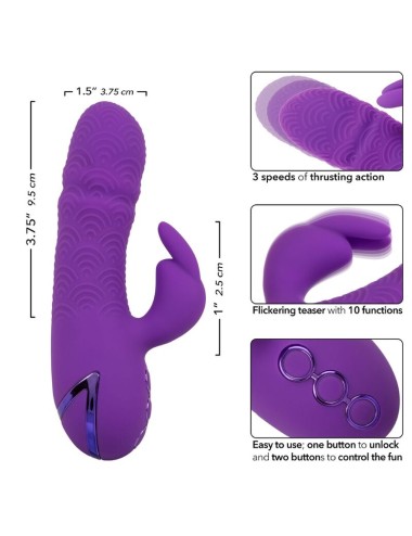 CALEXOTICS - MANHATTAN BEACH MARVEL VIBRADOR RABBIT MORADO BY CALIFORNIA DREAMING