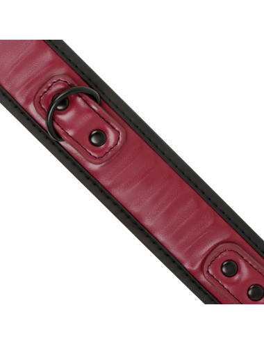 FETISH SUBMISSIVE DARK ROOM - COLLAR CON CADENA CON FORRO DE NEOPRENO