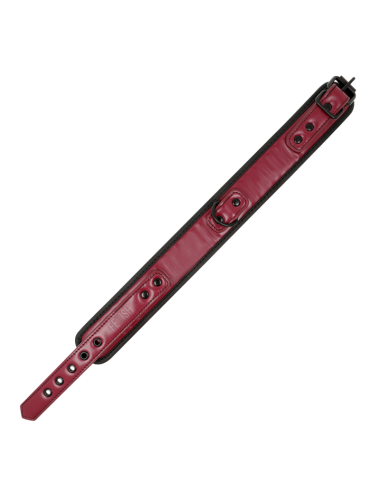 FETISH SUBMISSIVE DARK ROOM - COLLAR CON CADENA CON FORRO DE NEOPRENO
