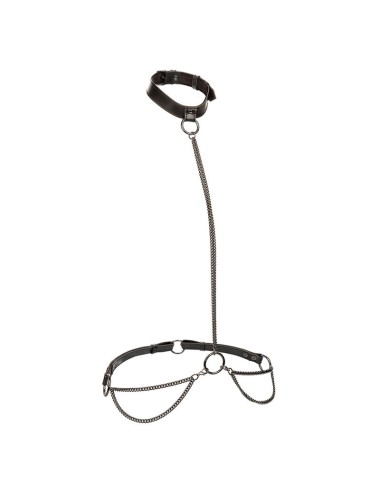 CALEXOTICS - EUPHORIA COLLAR HALTER Y CORREA CON CADENA TALLA PLUS