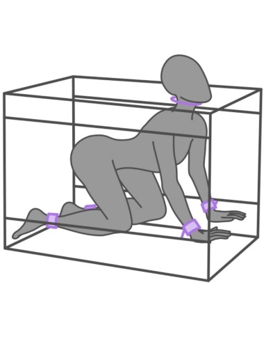 SECRET DOME - KINK CLUB LA NICHE CABINA  MORADO