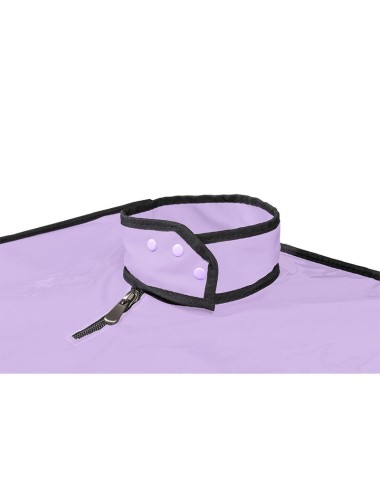 SECRET DOME - KINK CLUB LA NICHE CABINA  MORADO