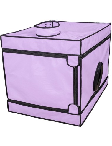 SECRET DOME - KINK CLUB LA NICHE CABINA  MORADO