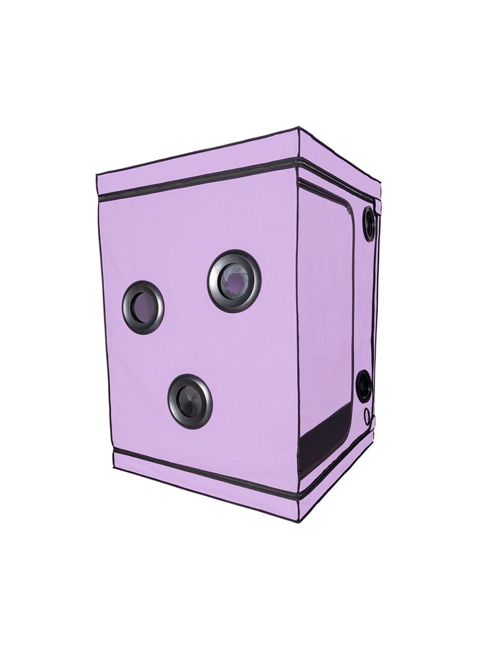 SECRET DOME - KINK CLUB CABINA SCANDALE MORADO