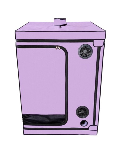 SECRET DOME - KINK CLUB CABINA SCANDALE MORADO