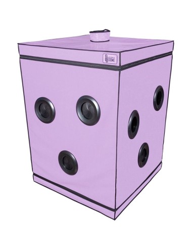 SECRET DOME - KINK CLUB CABINA SCANDALE MORADO