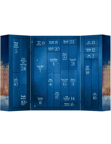 SATISFYER - CALENDARIO ADVIENTO PREMIUM 2025