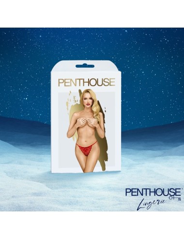 SATISFYER - CALENDARIO ADVIENTO PREMIUM 2025