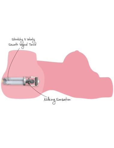 HIDDEN DESIRE - MILKING MEGA SLUT TORSO MASTURBADOR FEMENINO 22 KG