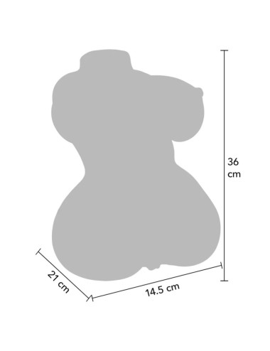 HIDDEN DESIRE - JUICY DOUBLE D MASTURBADOR VAGINA Y ANO 5 KG