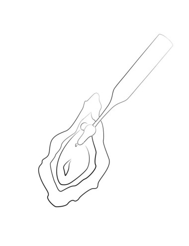 ROMP - POP HIGH FREQUENCY CLITORAL STIMULATOR RED