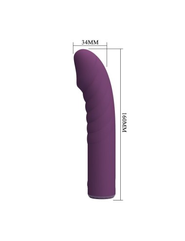 PRETTY LOVE - RYLAND RECHARGEABLE VIBRATOR 10 FUNCTIONS PURPLE